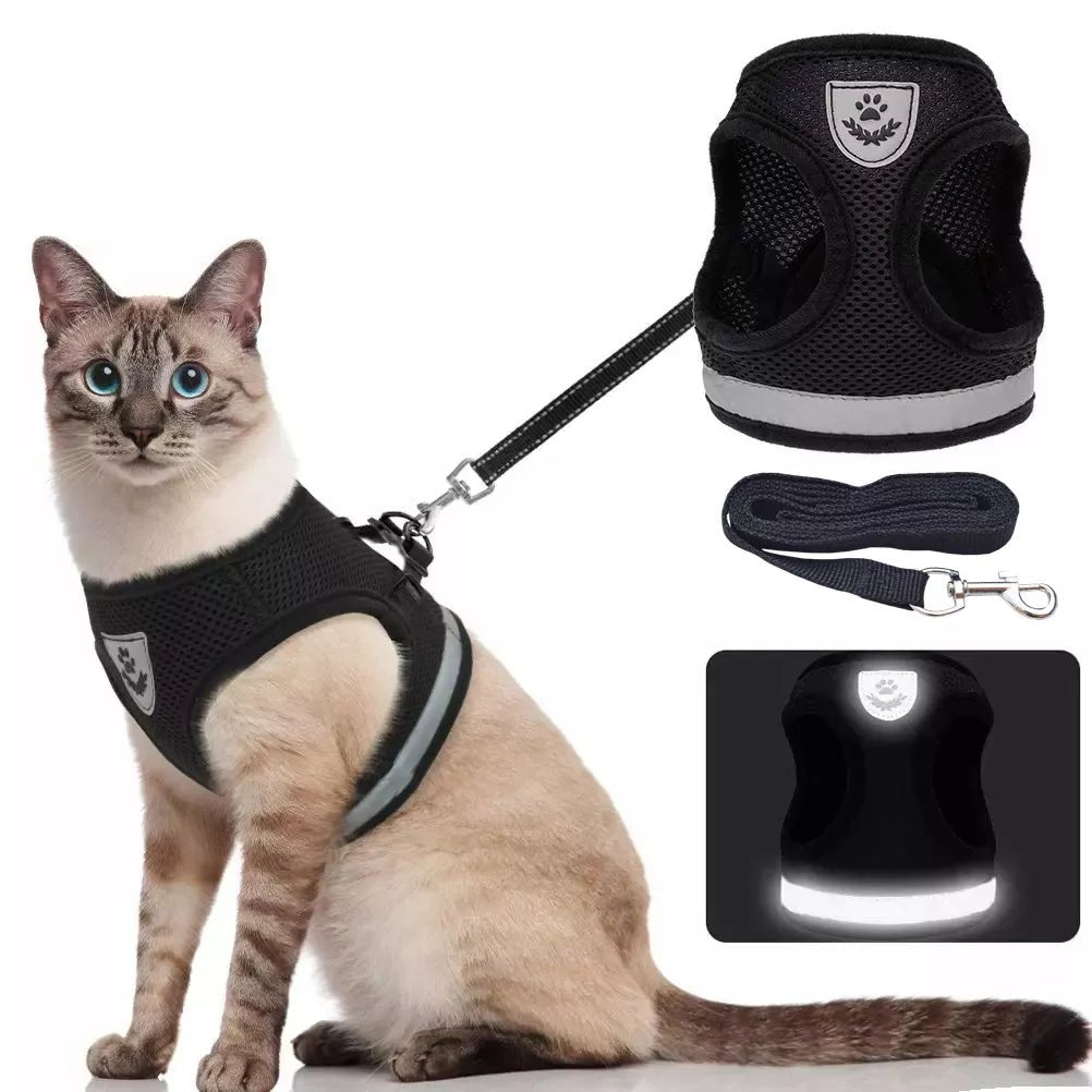 Harnais pour chats - chatparadis