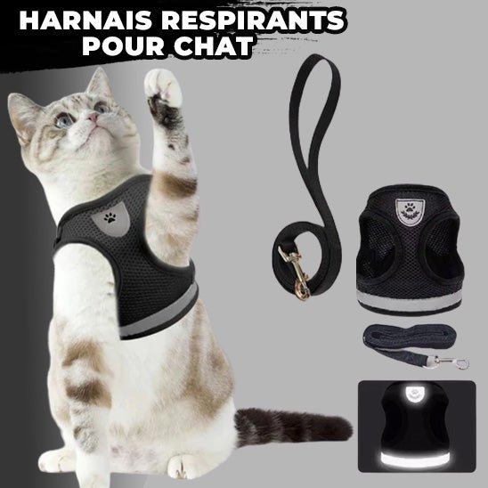 Harnais pour chats™ - chatparadis