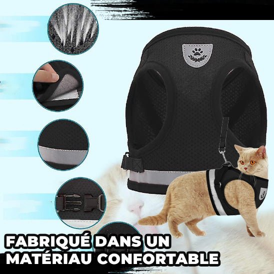 Harnais pour chats™ - chatparadis