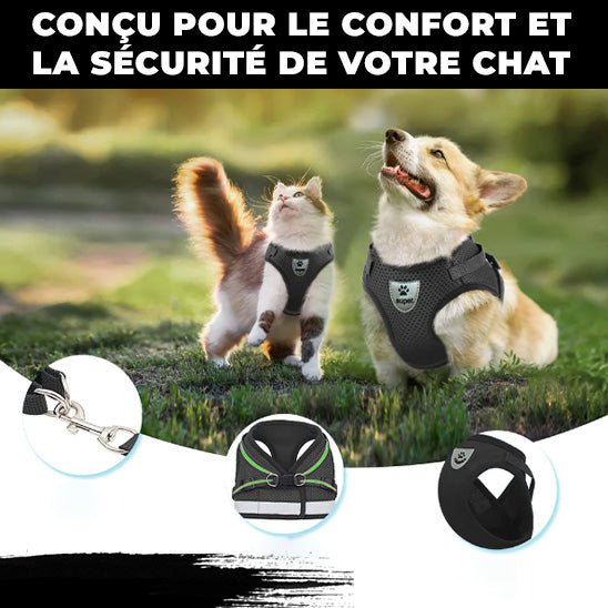 Harnais pour chats™ - chatparadis