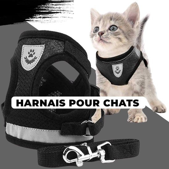 Harnais pour chats™ - chatparadis