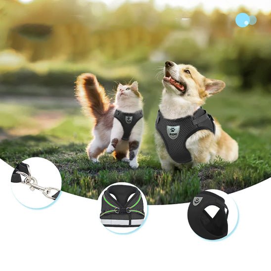 Harnais pour chats™ - chatparadis