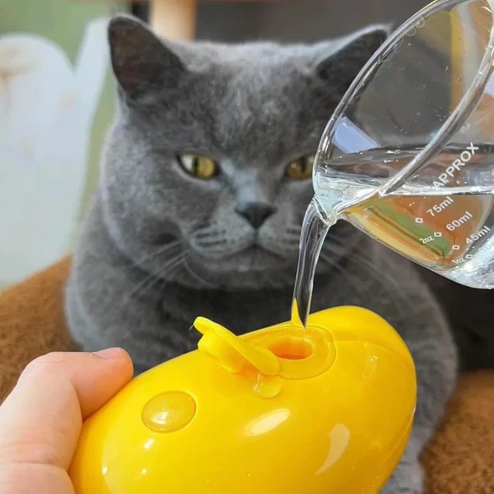 BROSSE À VAPEUR ÉLECTRIQUE POUR CHAT ET CHIEN - chatparadis